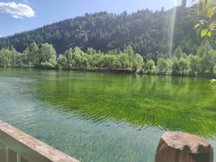-芦芽山旅游度假区