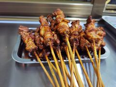 -民族烤羊·烤羊肉串·烤羊排(南城店)