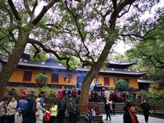 -普陀山风景名胜区-法雨禅寺