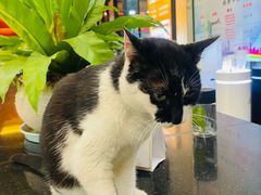 -铸信羽毛球俱乐部