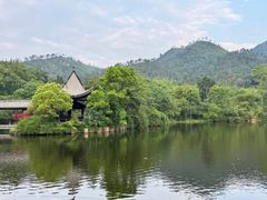 -黄陂区野村谷景区