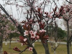 -汉长安城未央宫国家考古遗址公园