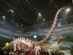 -自贡恐龙博物馆