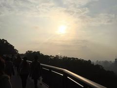 -金鸡山公园