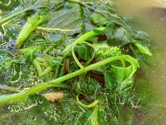 -玛扎烧烤私房菜