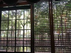 -东方明珠老上海8号餐厅
