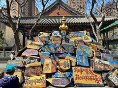 -护国法轮寺
