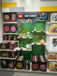 点击看大图 -乐高授权专卖店(浦东嘉里城店)