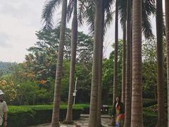 -大屏嶂森林公园