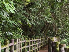 -广州市石门国家森林公园