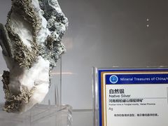 -中国地质大学逸夫博物馆