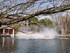 -上海共青森林公园