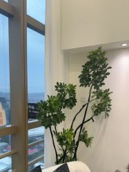 -JNK皮肤管理中心