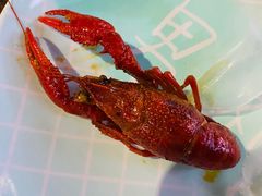 -龙虾风暴(松江店)