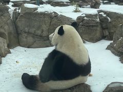 -武汉动物园