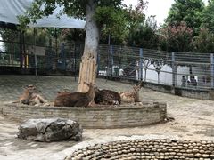 -武汉紫薇都市田园