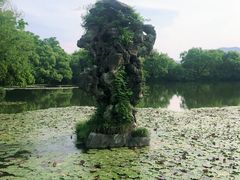 -西湖游船