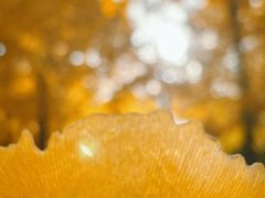 -浙江大学(紫金港校区)