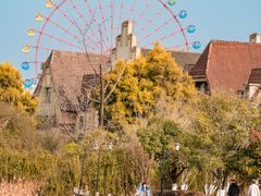 -成都南湖公园