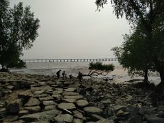 -宝安西湾红树林湿地公园