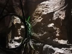 -小隐足道·按摩·主题SPA馆(西红门店)