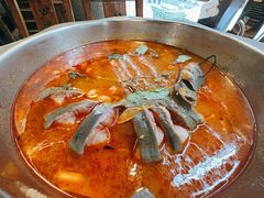 鮰鱼-芦苇荡·酸汤鱼(回龙观店)