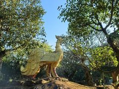 -云南勐巴娜西珍奇园