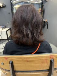 -藤野造型