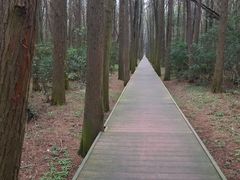 -同里国家湿地公园