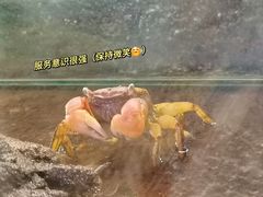 -正佳雨林生态植物园