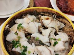 清蒸石斑肉-东江海鲜酒家(艺都分店)