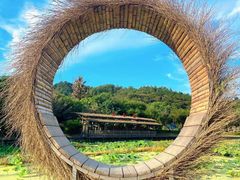 -广东花都香草世界旅游度假区