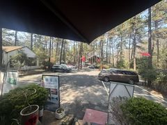 -小小饭店·休闲农庄·安吉松树林里的农家菜
