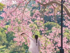 -风云岭森林公园