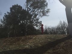 -丰台花园