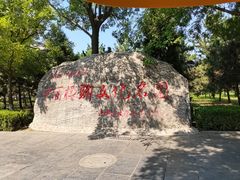 -大槐树寻根祭祖园