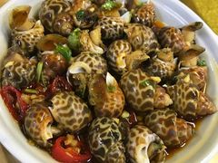 生腌花螺-长平肥姐白粥·海鲜打冷