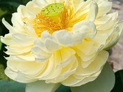 -南戴河国际娱乐中心