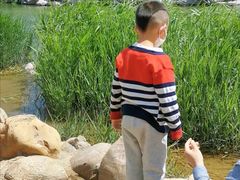 -绿岛公园(滨海新区)