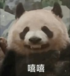 -蘑菇发型