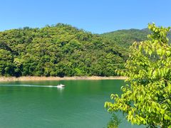 -广州市流溪河国家森林公园