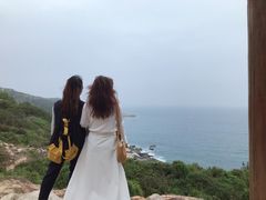 -广东惠东海龟国家级自然保护区
