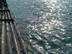 -楠溪江风景名胜区