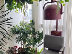-瑶舍头疗·瑶浴·芳香热石SPA(五洲国际店)