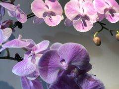 -北京植物园-展览温室