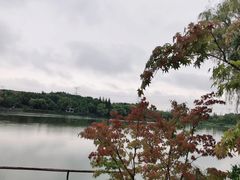 -昆山城市生态森林公园