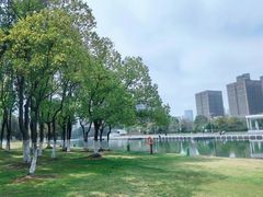 -院士公园