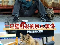 -UME影城(安贞DTS:X店)