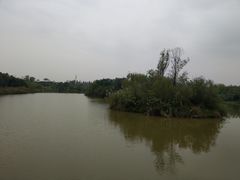 -白鹭湾湿地公园