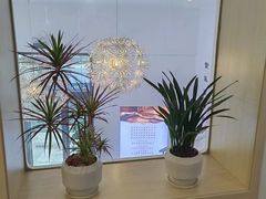 -阮氏中医推拿·颈肩腰腿(世纪公园店)